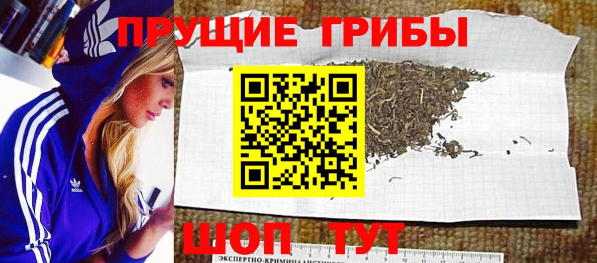 Сланцы  Галлюциногенные грибы ЛСД  Вход с VPN  Псилоцибиновые грибы Cubensis 