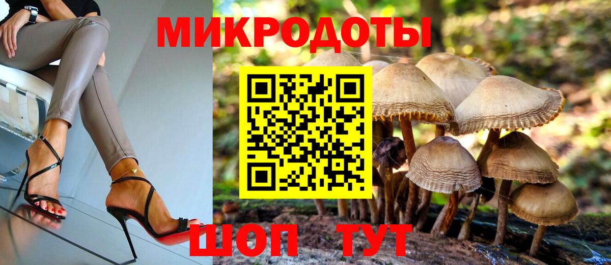 Псилоцибиновые грибы Magic Shrooms Сланцы