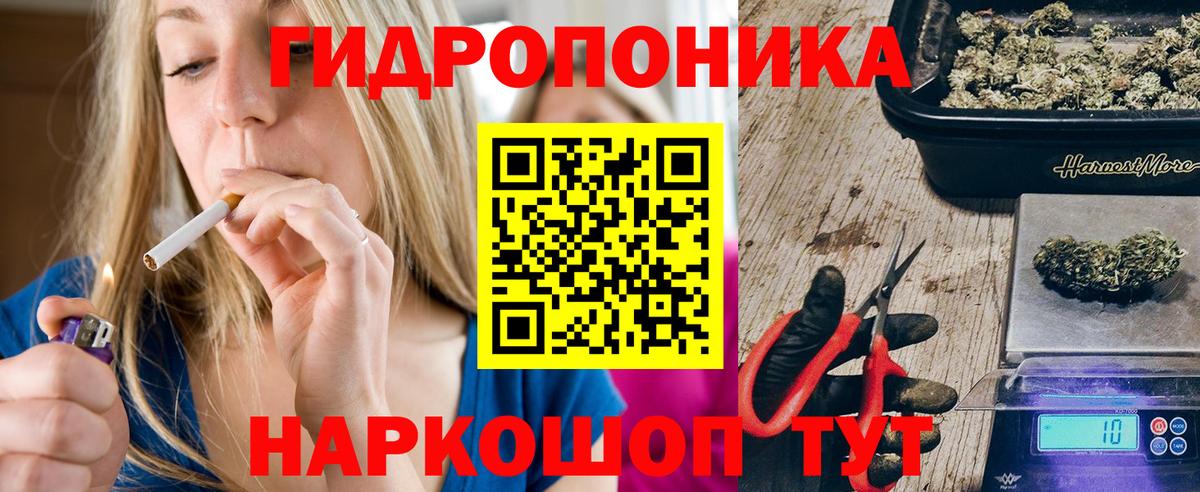 Каннабис SATIVA & INDICA  Бошки марихуана ГИДРОПОН  Сланцы  Вход с VPN  Канабис конопля  Бошки Шишки сатива 